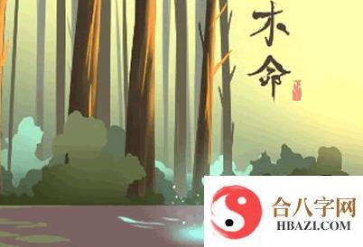 五行属木的哪一种木命是比较好的，木命最好的命格盘点