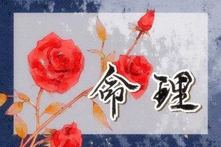 丙子日柱为什么特殊