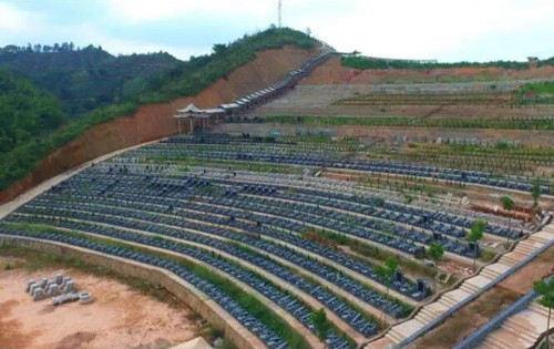 看墓地风水宝地必须遵循的原则