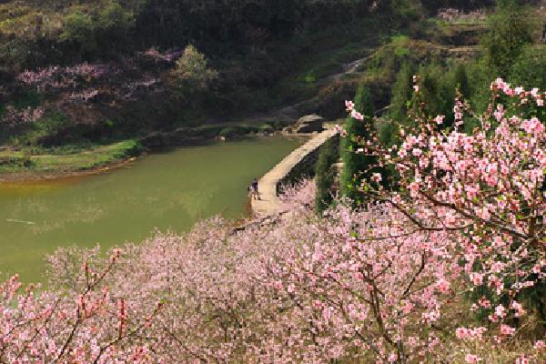 风水催桃花运布局